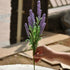 products/s-l1600_fbab1b32-0bee-45c1-b63f-970eadc63e1b.jpg