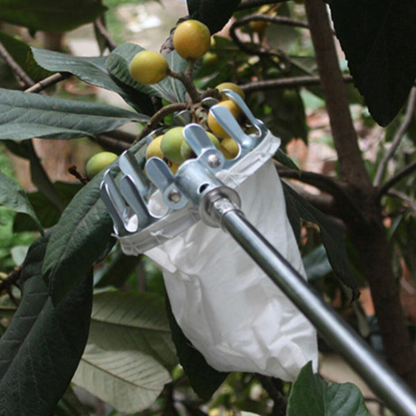 Fruit Pickers Picker Tool Picking Tool Fruit Harvest Picking Horticultural Apple