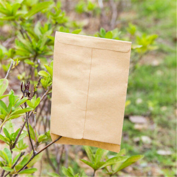 Kraft Paper Seed Packets Garden Home Storage Bags Mini Envelopes 6x11cm