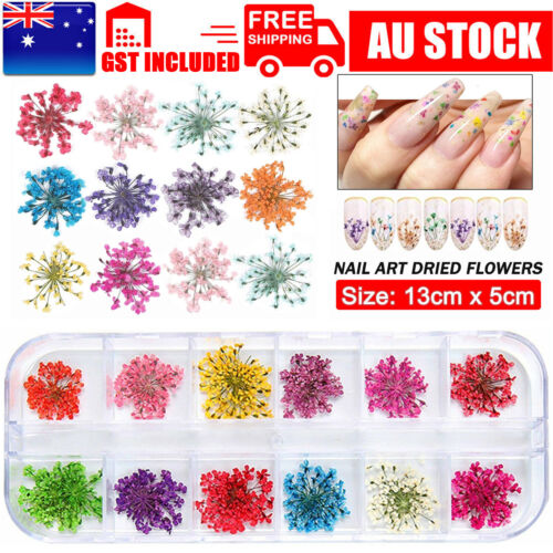 1-5X 3D Nail Art Dried Flowers Mixed Color Floral Pedal DIY Manicure Decal Decor