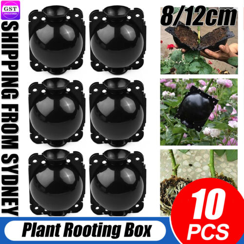 10Pcs Plant Rooting Device High Pressure Propagation Ball Root Grow Grafting Box - Lets Party