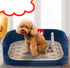 Dog Pet Potty Large Training Pee Pad Mat Toilet Puppy Tray Indoor 3 Layer - Lets Party